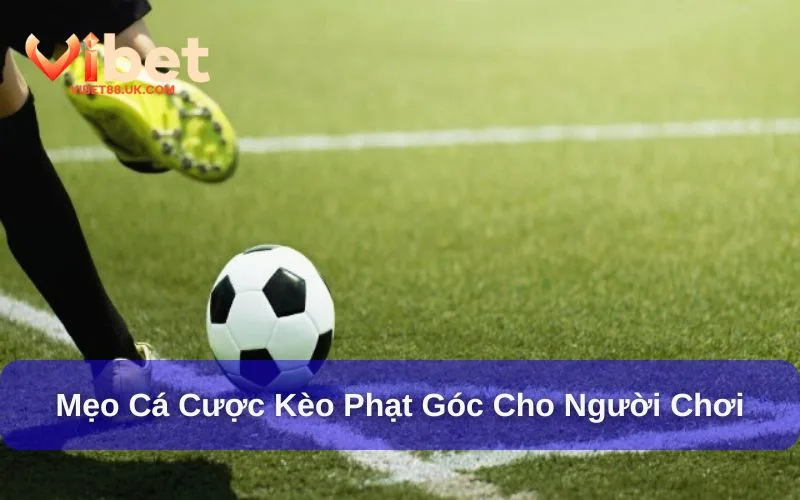 Kèo phạt góc là gì và mẹo chơi hiệu quả
