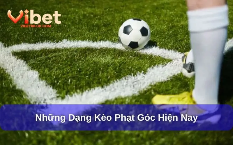 Kèo phạt góc là gì và những loại hình đặt cược