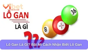 lo gan la gi