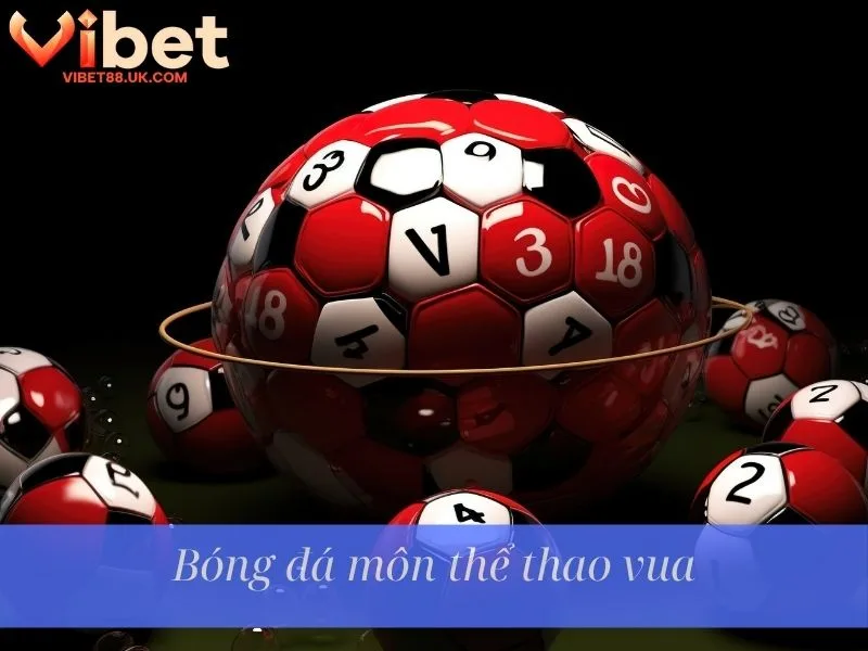Bóng đá môn thể thao vua S Sport – Sân chơi thể thao đỉnh cao cho người yêu cá cược