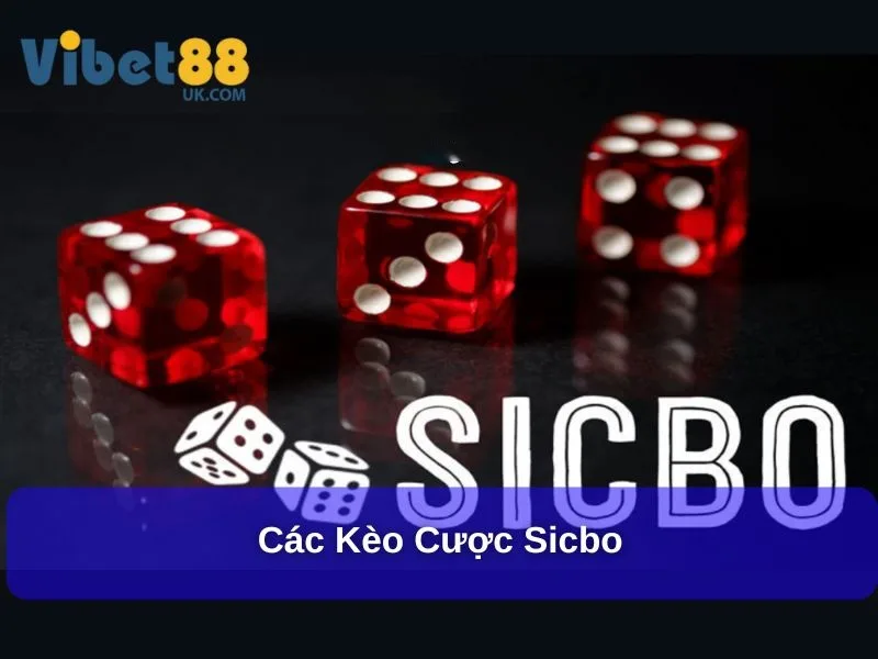 Khám Phá Cách Chơi Sicbo Với Trải Nghiệm Mới Lạ, Hấp Dẫn 3 Các kèo cược Sicbo