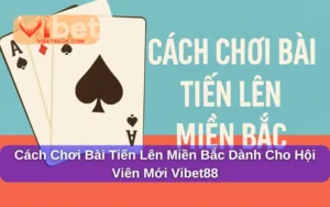 Cách Chơi Bài Tiến Lên Miền Bắc Dành Cho Hội Viên Mới Vibet88