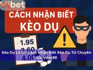 Kèo Dụ Là Gì? Cách Nhận Biết Kèo Dụ Từ Chuyên Gia Vibet88