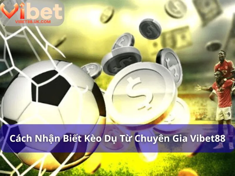 Kèo Dụ Là Gì? Cách Nhận Biết Kèo Dụ Từ Chuyên Gia Vibet88 3 Cách nhận biết kèo dụ nhanh chóng và đơn giản