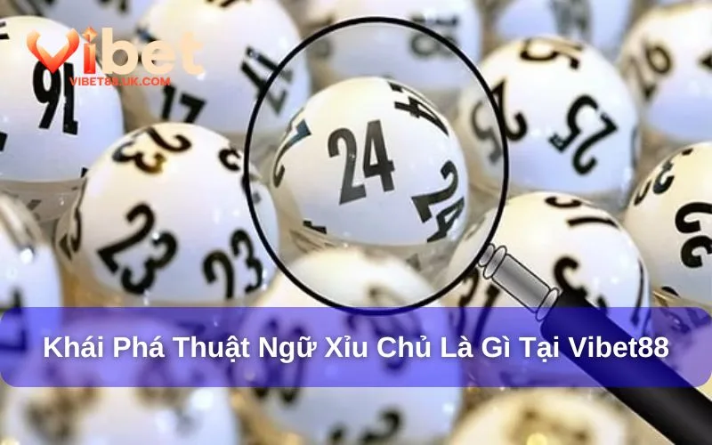Xỉu Chủ Là Gì? Khám Phá Thuật Ngữ Cược Tại Vibet88 2 Giải đáp về xỉu chủ là gì