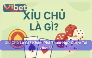 Xỉu Chủ Là Gì? Khám Phá Thuật Ngữ Cược Tại Vibet88